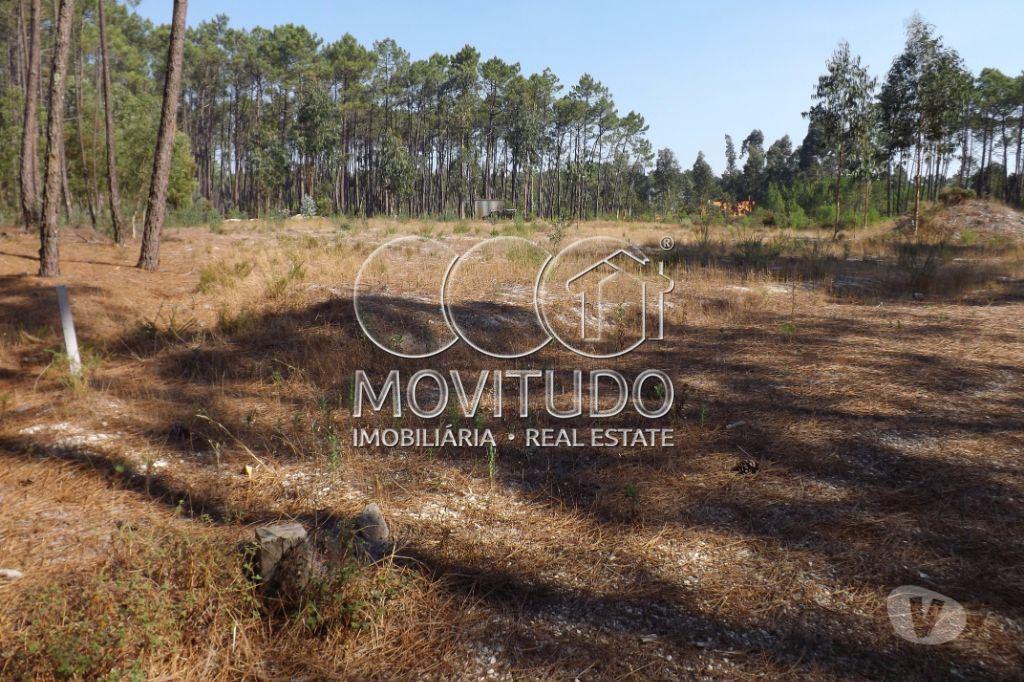 Terrenos Leiria - Fotos para Terreno de 2.960 m2 com projeto aprovado para Lar, Carvide -