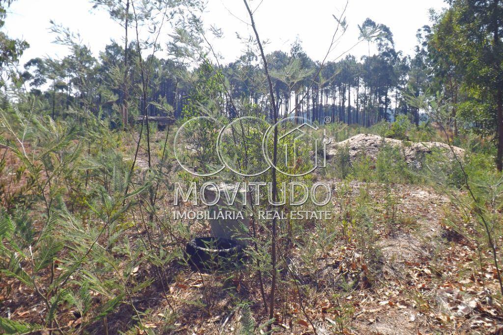Terrenos Leiria - Fotos para Terreno de 2.960 m2 com projeto aprovado para Lar, Carvide -