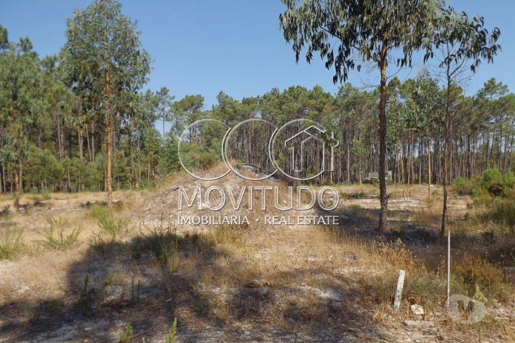 Terrenos Leiria - Fotos para Terreno de 2.960 m2 com projeto aprovado para Lar, Carvide -