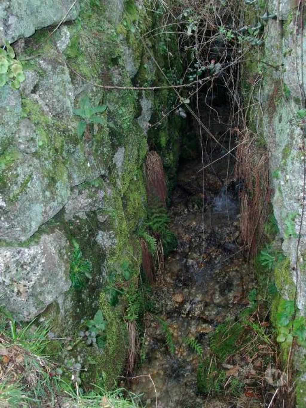 Terrenos Vieira do Minho - Fotos para Terreno para construção no Ermal com área de 11800m2. Venha