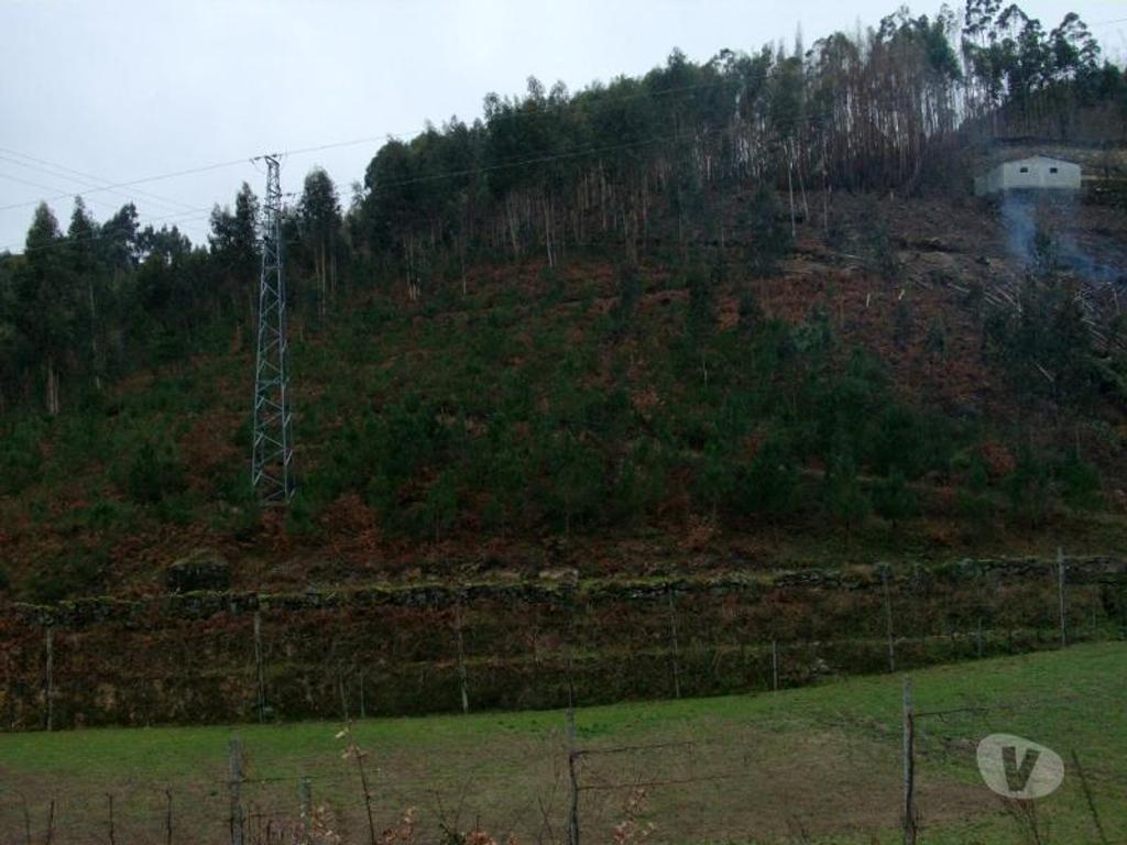 Terrenos Vieira do Minho - Fotos para Terreno para construção no Ermal com área de 11800m2. Venha