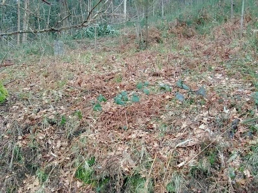 Terrenos Vieira do Minho - Fotos para Terreno para construção no Ermal com área de 11800m2. Venha