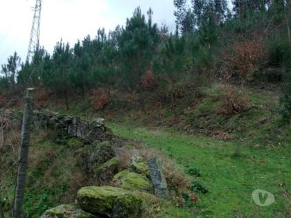Terrenos - Fotos para Terreno para construção no Ermal com área de 11800m2. Venha