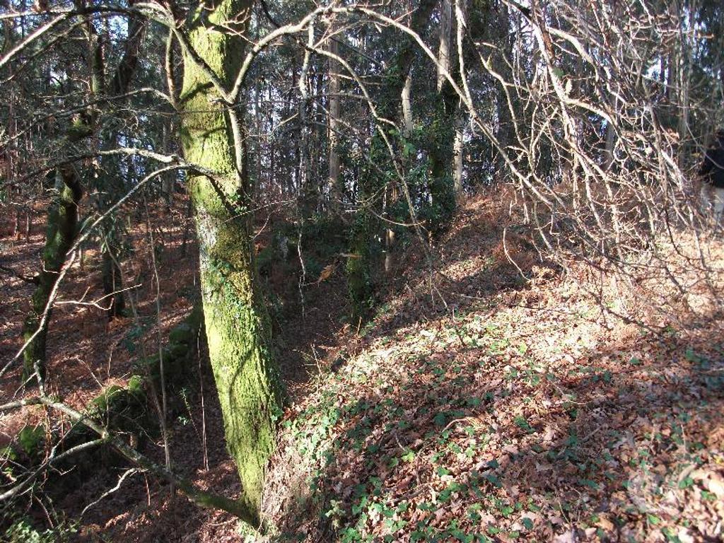Terrenos Vieira do Minho - Fotos para Terreno com área de 4635m2, pode ser vendido na totalidade ou em
