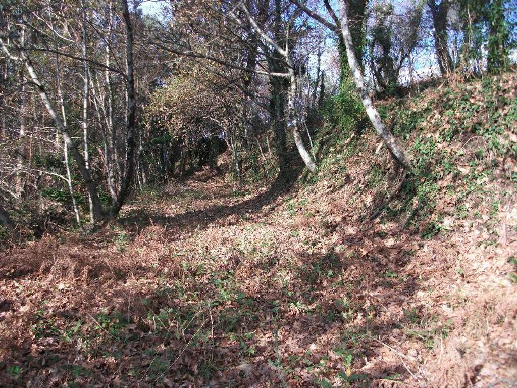 Terrenos Vieira do Minho - Fotos para Terreno com área de 4635m2, pode ser vendido na totalidade ou em