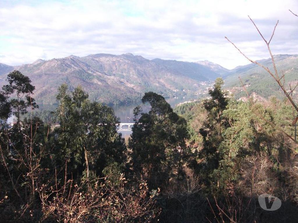 Terrenos Vieira do Minho - Fotos para Terreno com área de 4635m2, pode ser vendido na totalidade ou em