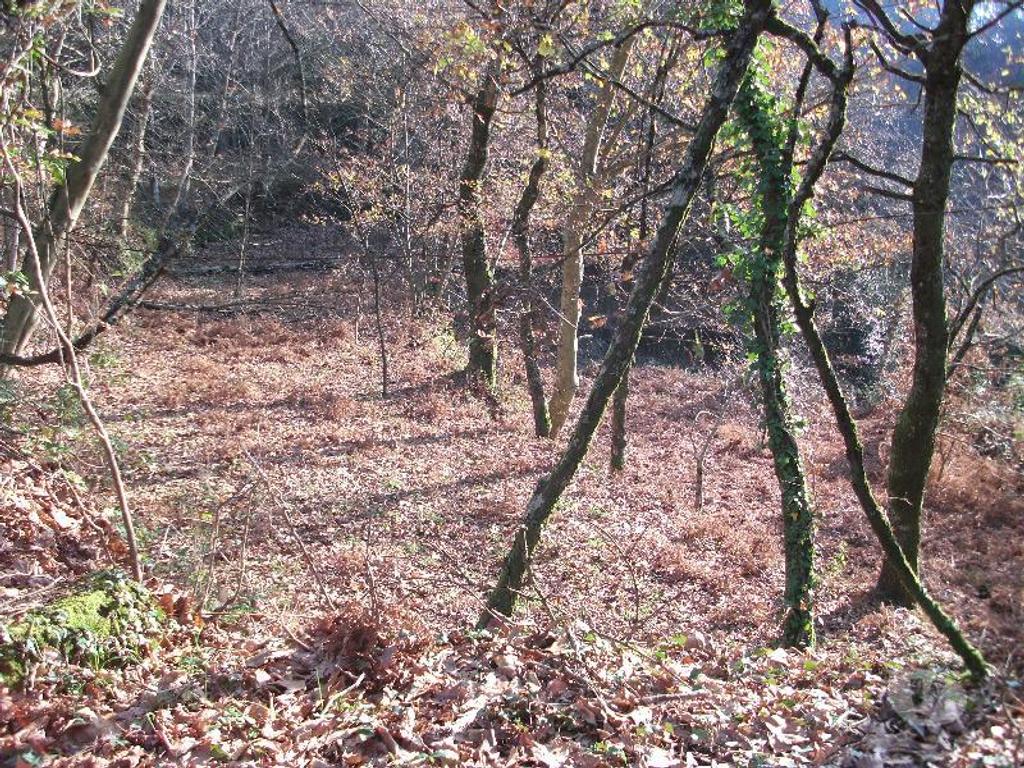Terrenos Vieira do Minho - Fotos para Terreno com área de 4635m2, pode ser vendido na totalidade ou em
