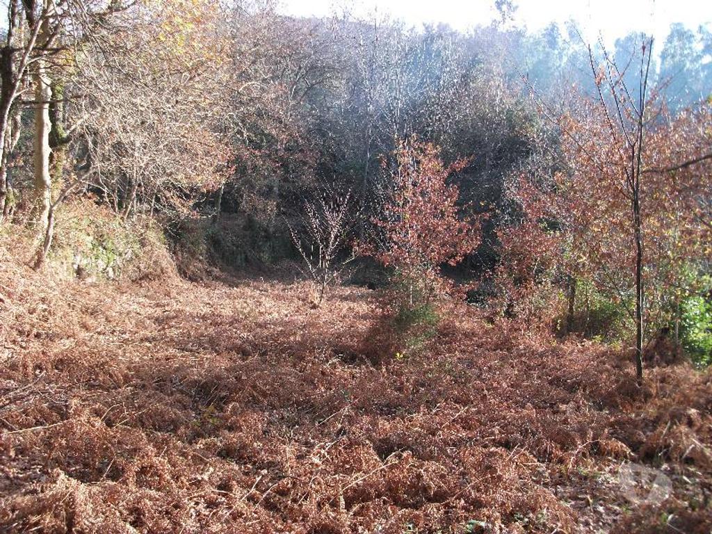 Terrenos Vieira do Minho - Fotos para Terreno com área de 4635m2, pode ser vendido na totalidade ou em