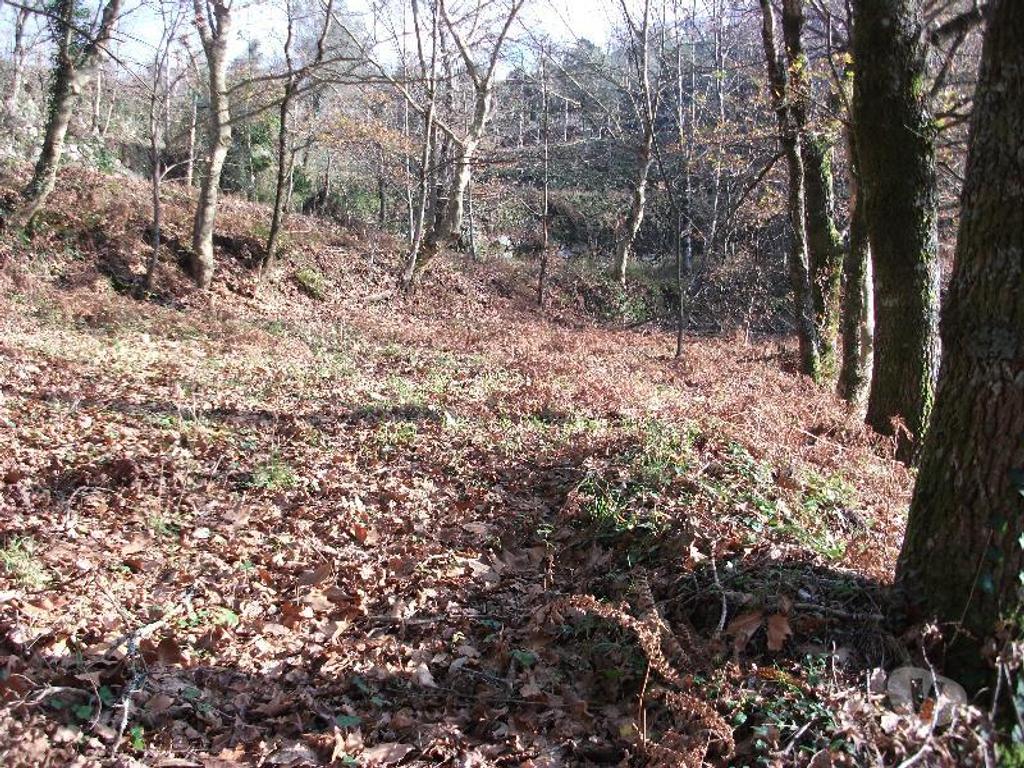 Terrenos Vieira do Minho - Fotos para Terreno com área de 4635m2, pode ser vendido na totalidade ou em