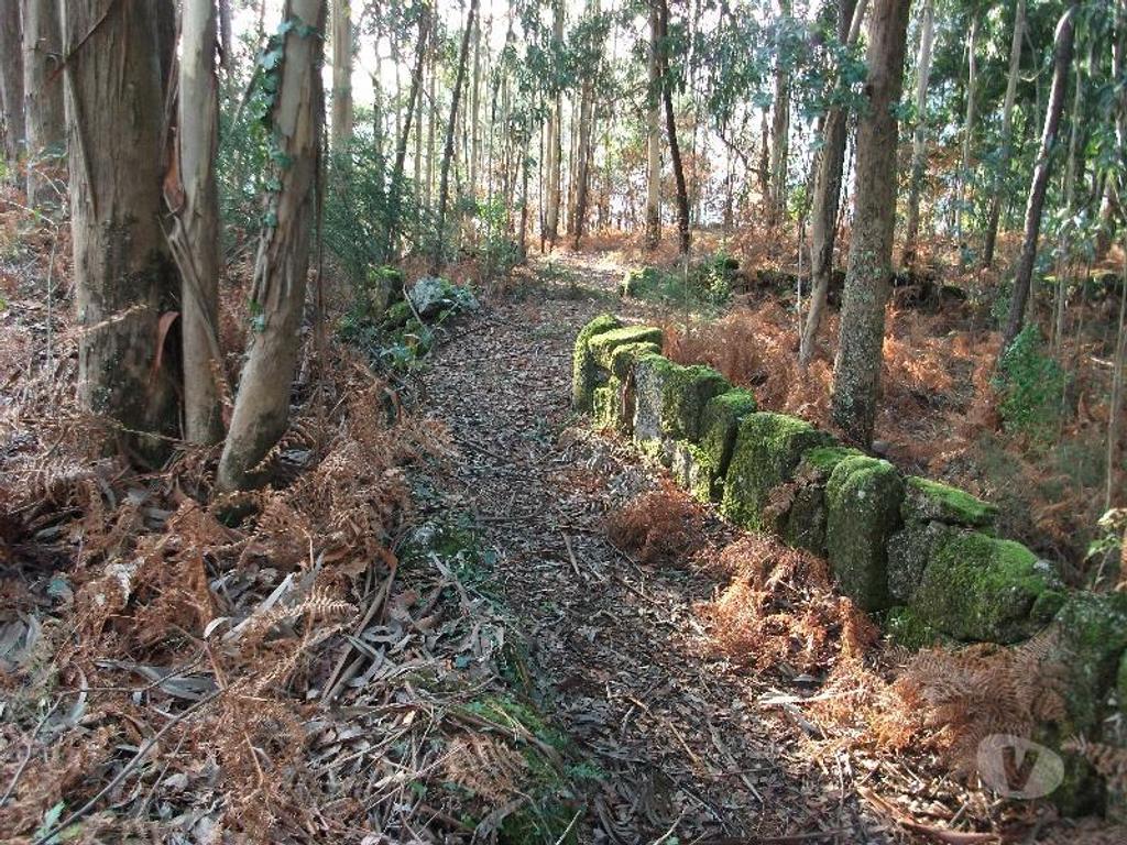 Terrenos Vieira do Minho - Fotos para Terreno com área de 4635m2, pode ser vendido na totalidade ou em