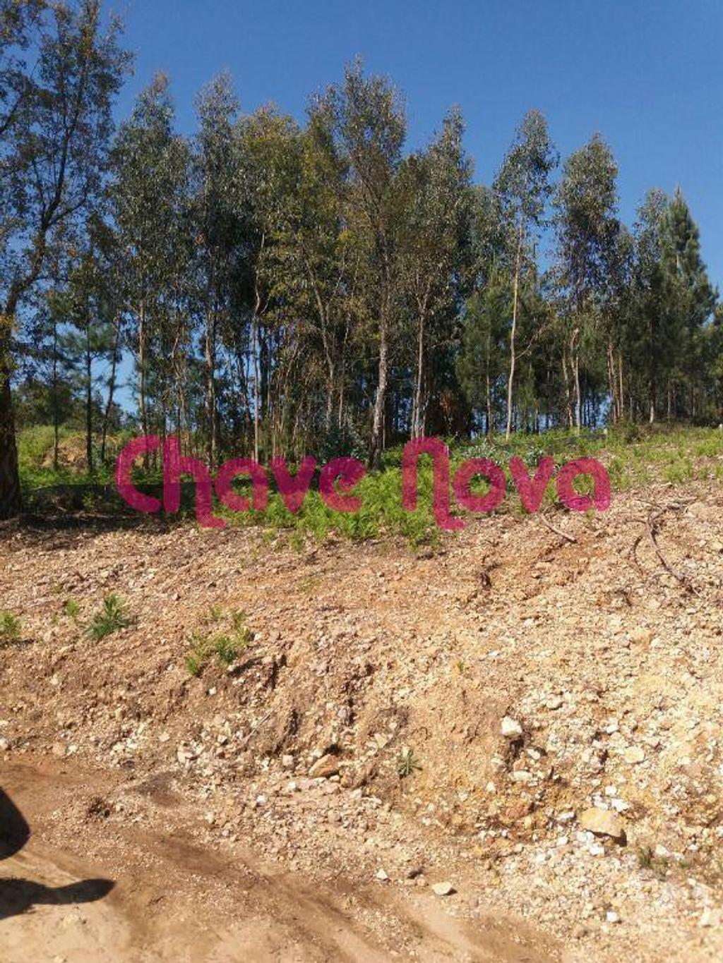 Terrenos Vila Nova de Gaia - Fotos para Vila-nova-de-gaia-TERRENO COM 2.450mts NA EN222 (OD 00388)