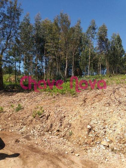 Terrenos - Fotos para Vila-nova-de-gaia-TERRENO COM 2.450mts NA EN222 (OD 00388)