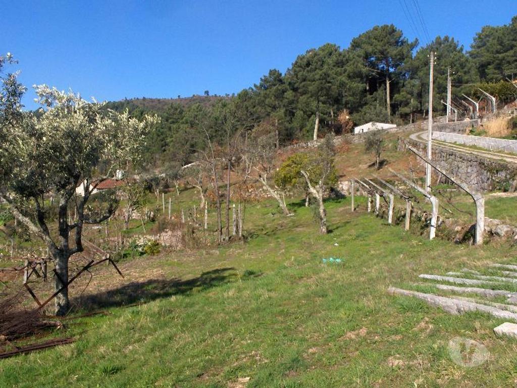 Terrenos Baião - Fotos para Baiao-Terreno em Gestaçô - Baião (080111)