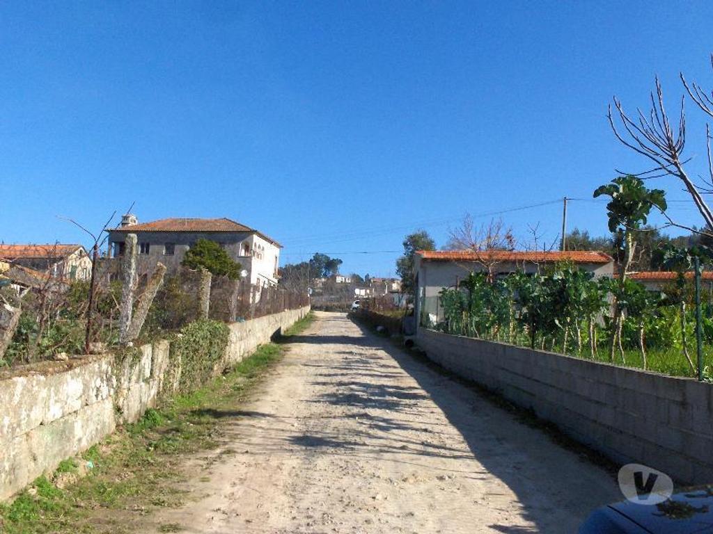 Terrenos Baião - Fotos para Baiao-Terreno em Gestaçô - Baião (080111)