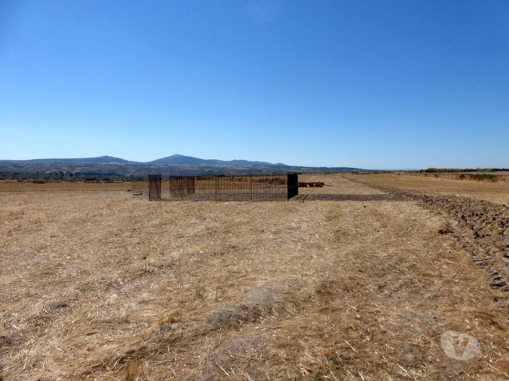 Terrenos Figueira de Castelo Rodrigo - Fotos para Vende-se terreno de cultivo com 120.000 m2 em Figueira de