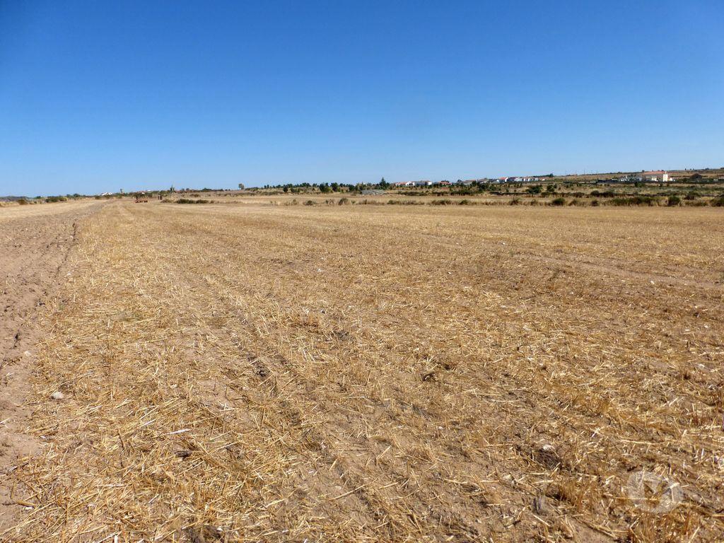 Terrenos Figueira de Castelo Rodrigo - Fotos para Vende-se terreno de cultivo com 120.000 m2 em Figueira de