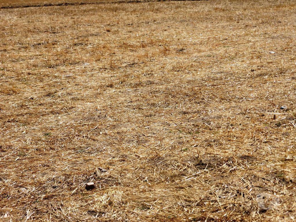Terrenos Figueira de Castelo Rodrigo - Fotos para Vende-se terreno de cultivo com 120.000 m2 em Figueira de