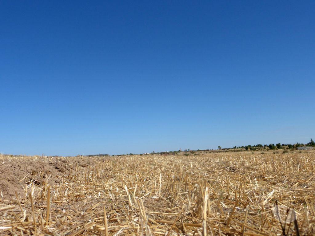 Terrenos Figueira de Castelo Rodrigo - Fotos para Vende-se terreno de cultivo com 120.000 m2 em Figueira de