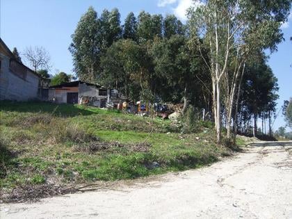 Terrenos - Fotos para Fantástico terreno no centro da vila, para construção área