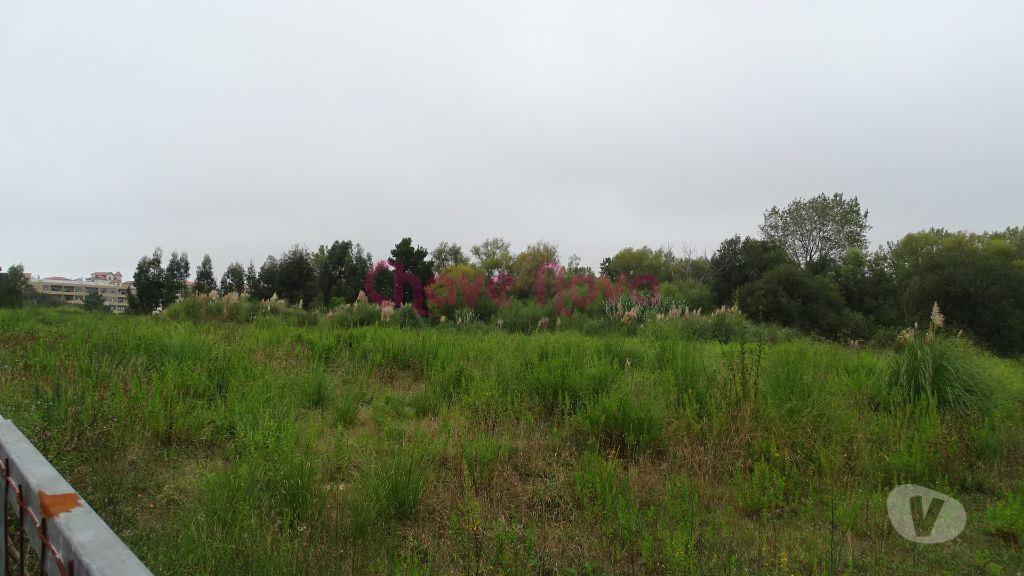 Terrenos Vila Nova de Gaia - Fotos para Terreno p construção de 7 moradias Térreas (MAD 00237)