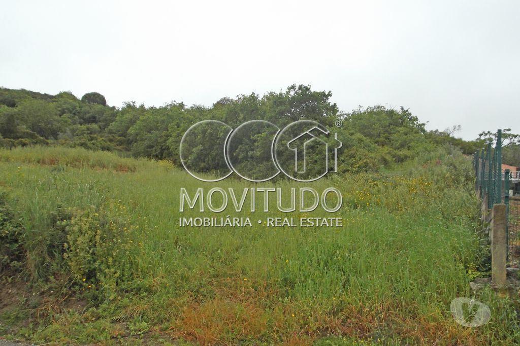 Terrenos Arruda dos Vinhos - Fotos para Terreno Agrícola 7500 m2 € em À-do-Mourão, Arruda dos Vinhos