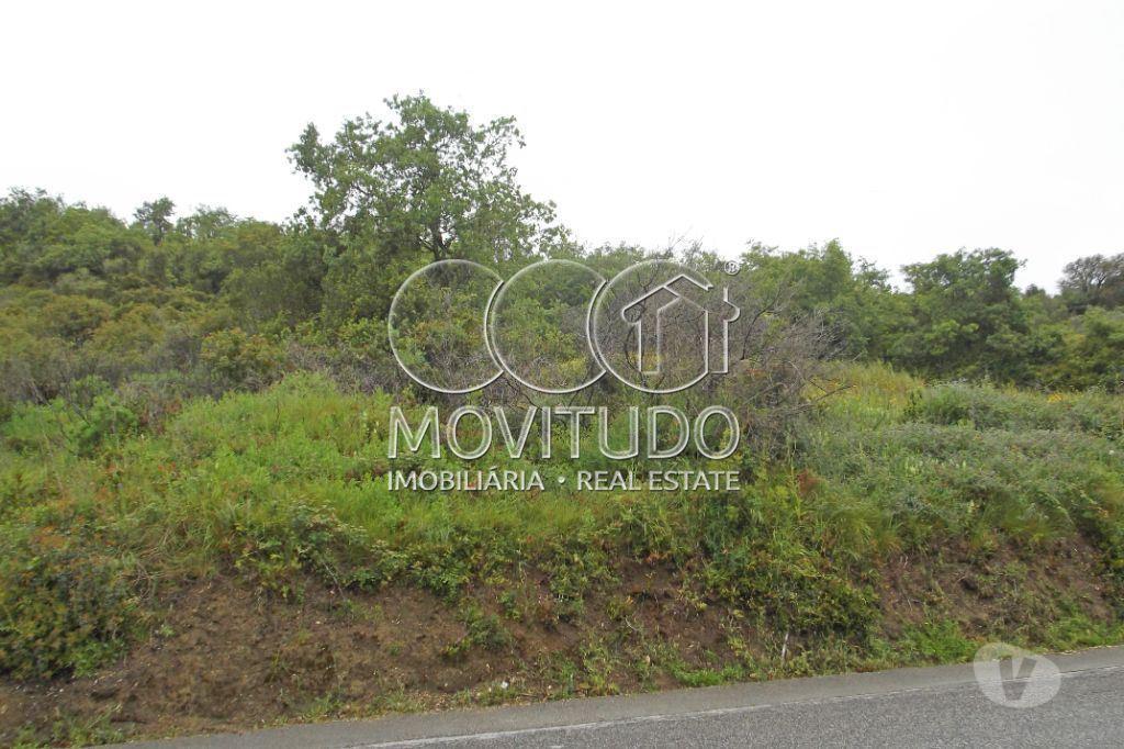 Terrenos Arruda dos Vinhos - Fotos para Terreno Agrícola 7500 m2 € em À-do-Mourão, Arruda dos Vinhos