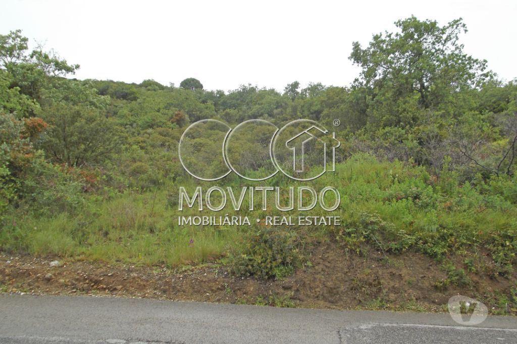 Terrenos Arruda dos Vinhos - Fotos para Terreno Agrícola 7500 m2 € em À-do-Mourão, Arruda dos Vinhos