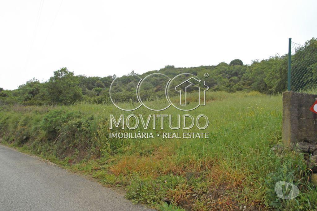 Terrenos Arruda dos Vinhos - Fotos para Terreno Agrícola 7500 m2 € em À-do-Mourão, Arruda dos Vinhos