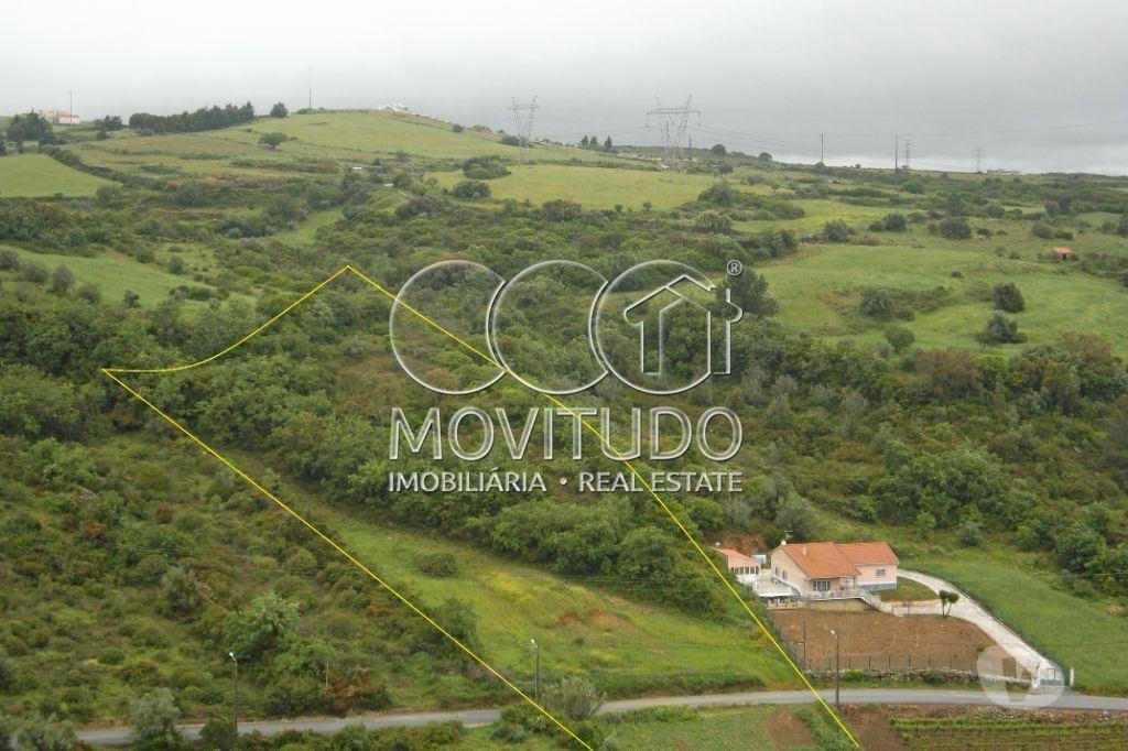 Terrenos Arruda dos Vinhos - Fotos para Terreno Agrícola 7500 m2 € em À-do-Mourão, Arruda dos Vinhos