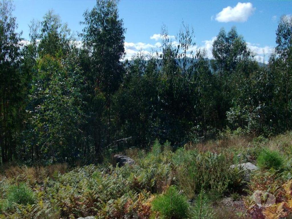 Terrenos Vieira do Minho - Fotos para Terreno com possibilidade de construção, area aproximadamente de