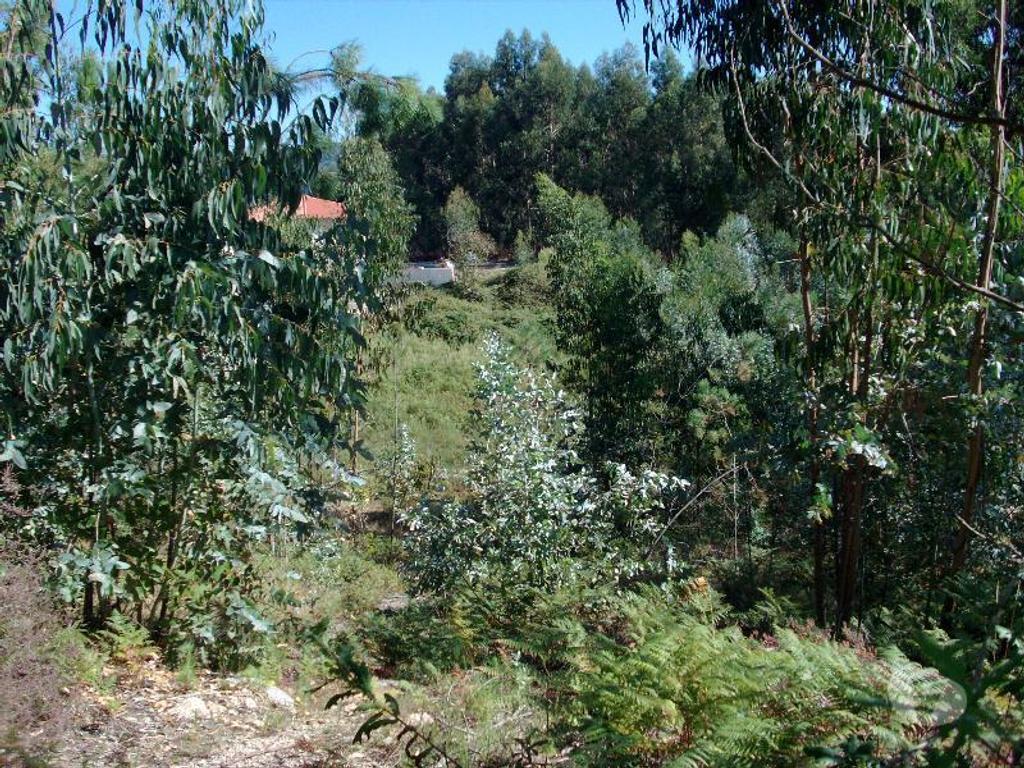 Terrenos Vieira do Minho - Fotos para Terreno com possibilidade de construção, area aproximadamente de