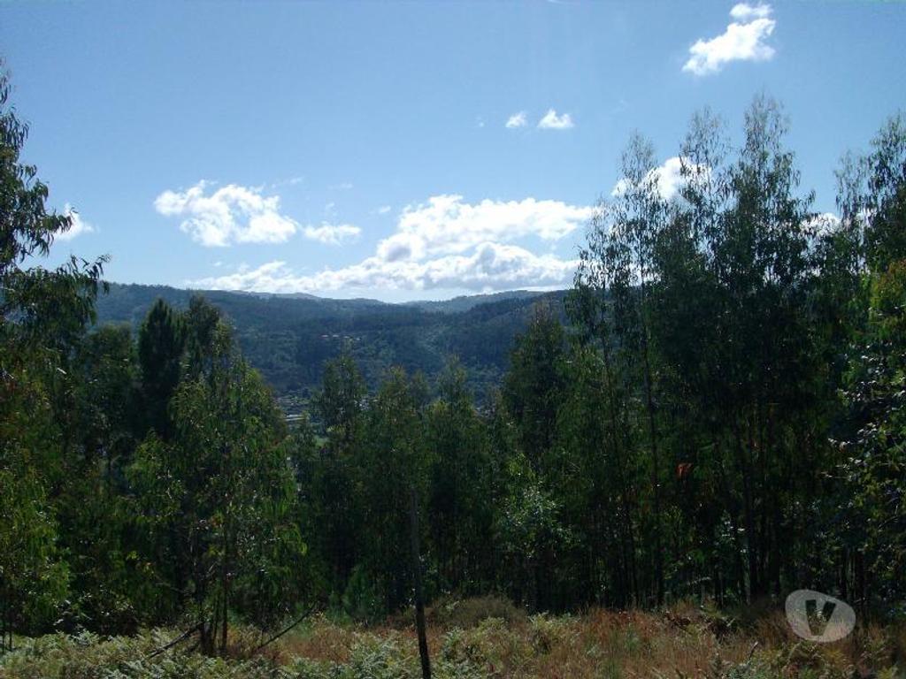 Terrenos Vieira do Minho - Fotos para Terreno com possibilidade de construção, area aproximadamente de