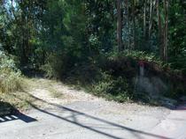 Terreno com possibilidade de construção, area aproximadamente de