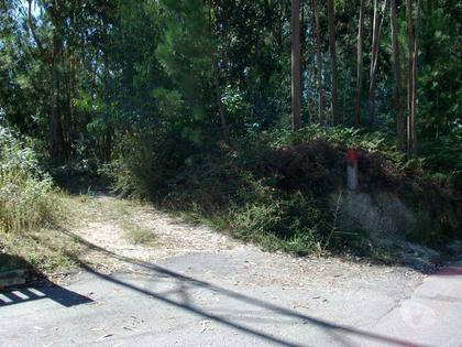 Terrenos - Fotos para Terreno com possibilidade de construção, area aproximadamente de