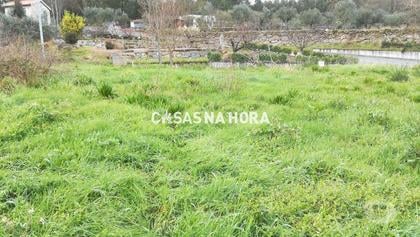 Terrenos e quintas a venda - Fotos para Viseu-Terreno Para Construção - Couto - Viseu (viseu T 01461)