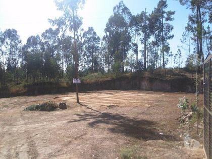 Terrenos e Quintas - Fotos para Lousada-Terreno para Construção (T 00068)