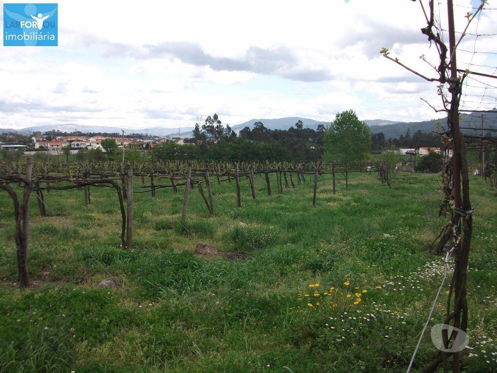 Terrenos Póvoa de Lanhoso - Fotos para Terreno agrícola, para venda, Póvoa de Lanhoso - Campos e