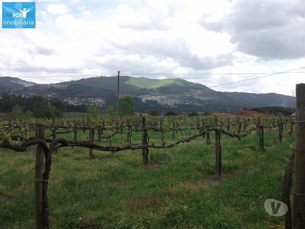 Terrenos Póvoa de Lanhoso - Fotos para Terreno agrícola, para venda, Póvoa de Lanhoso - Campos e