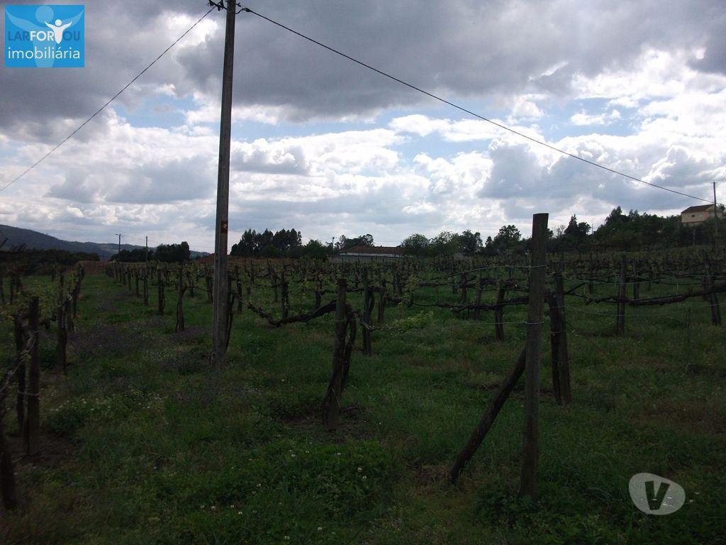 Terrenos Póvoa de Lanhoso - Fotos para Terreno agrícola, para venda, Póvoa de Lanhoso - Campos e