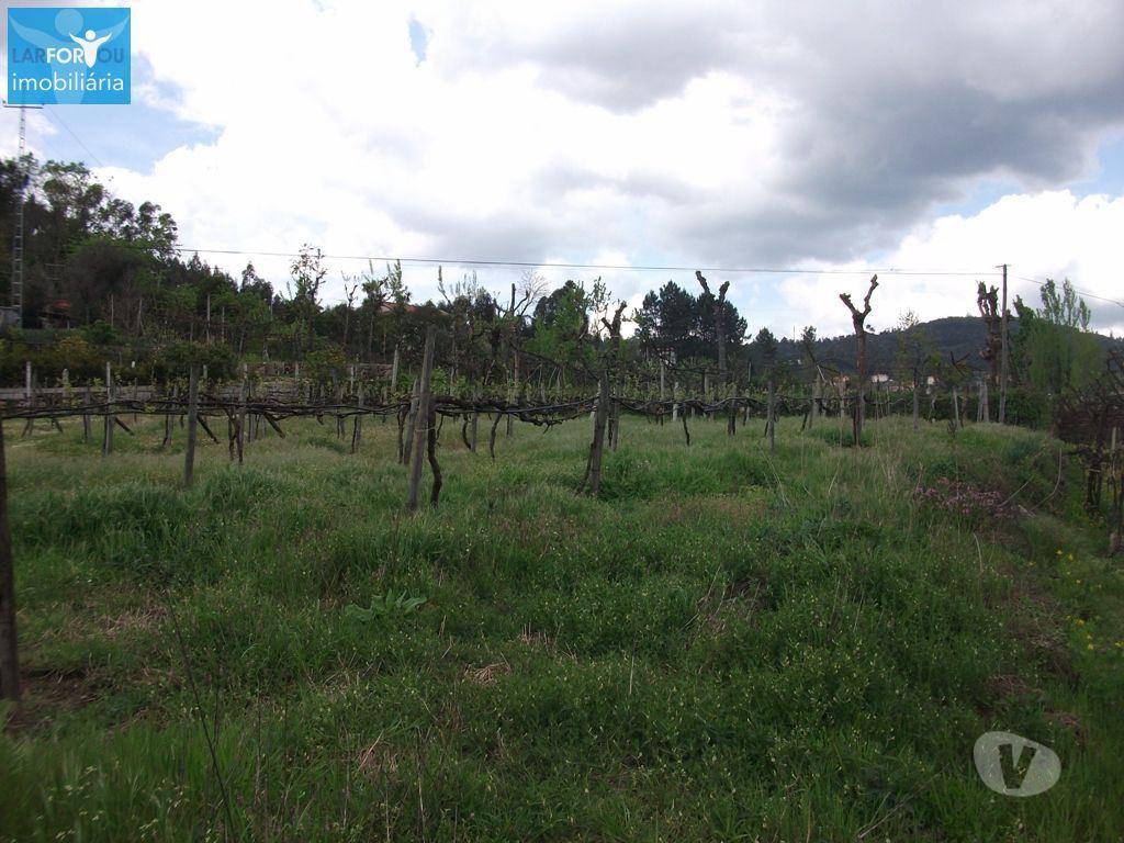 Terrenos Póvoa de Lanhoso - Fotos para Terreno agrícola, para venda, Póvoa de Lanhoso - Campos e