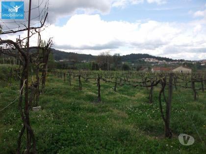 Terrenos a venda - Fotos para Terreno agrícola, para venda, Póvoa de Lanhoso - Campos e