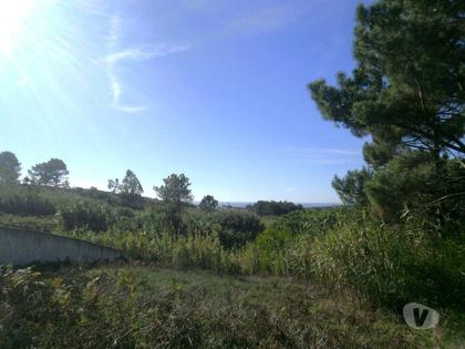 Terrenos a venda - Fotos para Sintra-Terreno rústico - Janas - Sintra (03JP031)