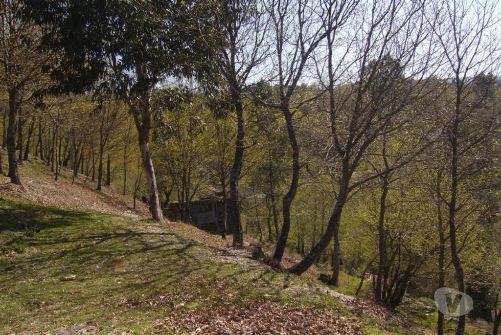 Comprar Loja Vieira do Minho - Fotos para Quintinha para reconstruir com duas entradas, area de 3000m2...