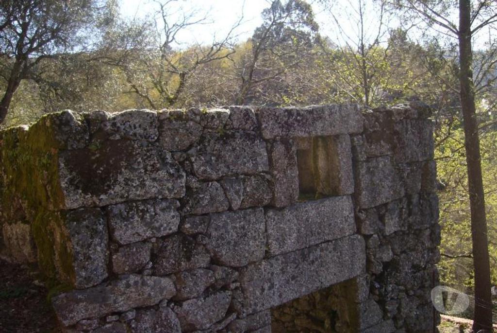 Comprar Loja Vieira do Minho - Fotos para Quintinha para reconstruir com duas entradas, area de 3000m2...