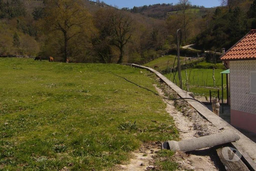 Terrenos Vieira do Minho - Fotos para Fantástico terreno com fantásticas vistas com possibilidade de