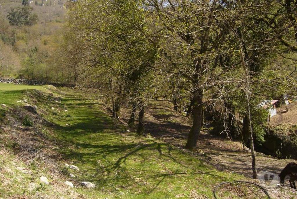 Terrenos Vieira do Minho - Fotos para Fantástico terreno com fantásticas vistas com possibilidade de