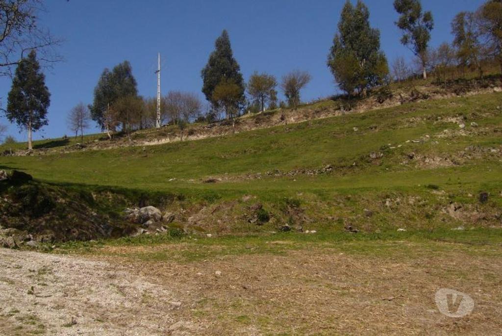 Terrenos Vieira do Minho - Fotos para Fantástico terreno com fantásticas vistas com possibilidade de