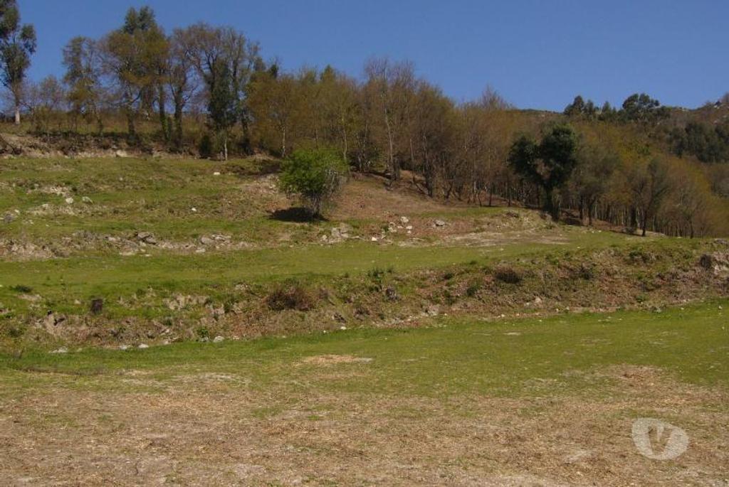 Terrenos Vieira do Minho - Fotos para Fantástico terreno com fantásticas vistas com possibilidade de