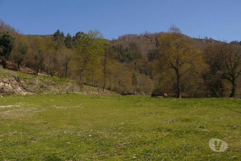 Terrenos Vieira do Minho - Fotos para Fantástico terreno com fantásticas vistas com possibilidade de