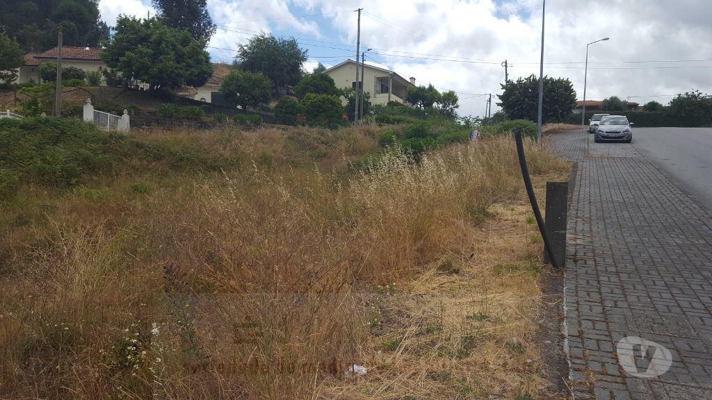 Terrenos Amarante - Fotos para Lote para construção de moradia Individual. 40m de frente de